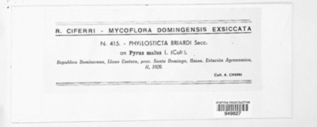 Phyllosticta briardii image